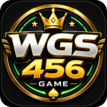 WGS456 GAME